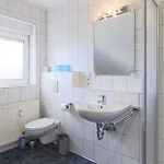 Elbsegler, 10 *