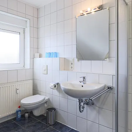 Elbsegler, 10 *