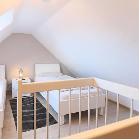 Elbsegler, 10 *