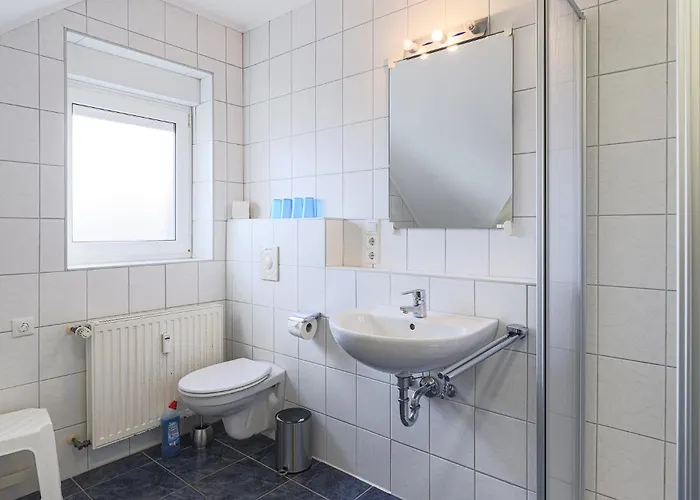 Elbsegler, 10 *